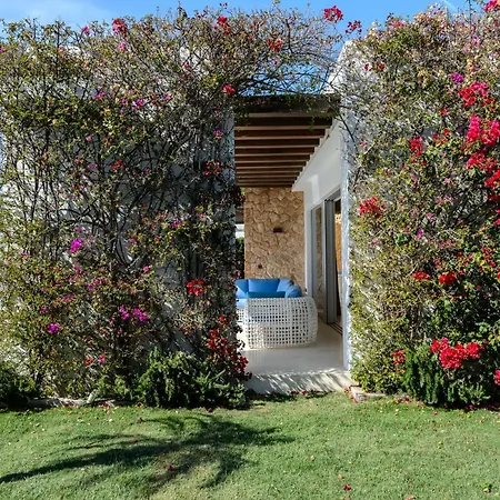 Zelmar - Tranquility And Privacy In Cala Conta *