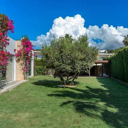 Villa Zelmar - Tranquility And Privacy In Cala Conta